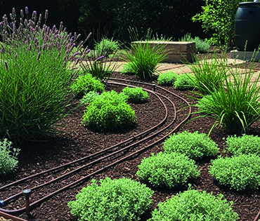 İlhamımımız Doğa, <br> İşimiz Tasarım