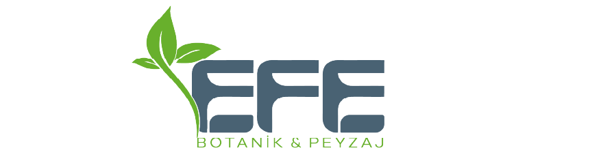 Efe Botanik & Peyzaj