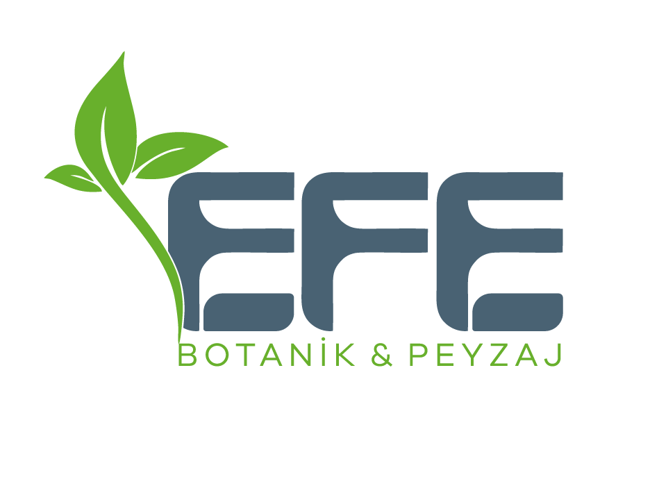 Efe Botanik & Peyzaj