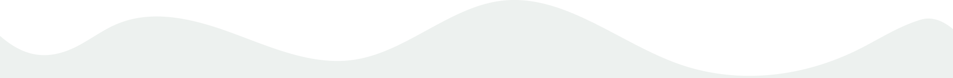 Efe Botanik & Peyzaj