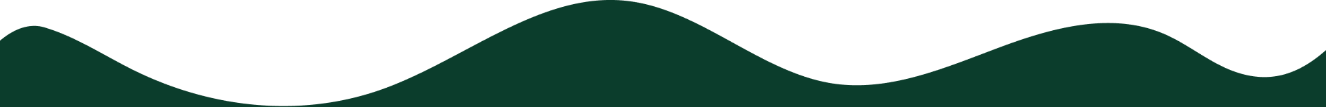 Efe Botanik & Peyzaj